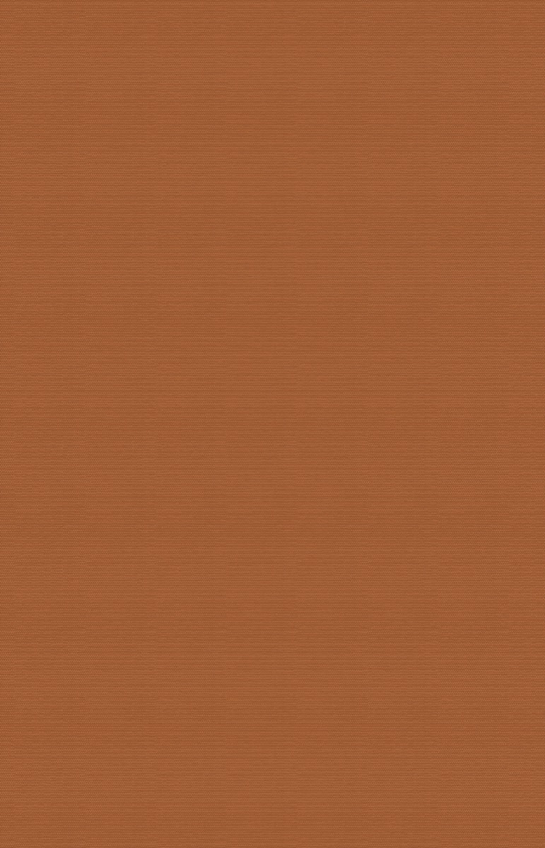 CLAY SKIN — LITHOS, texture / quiet surface