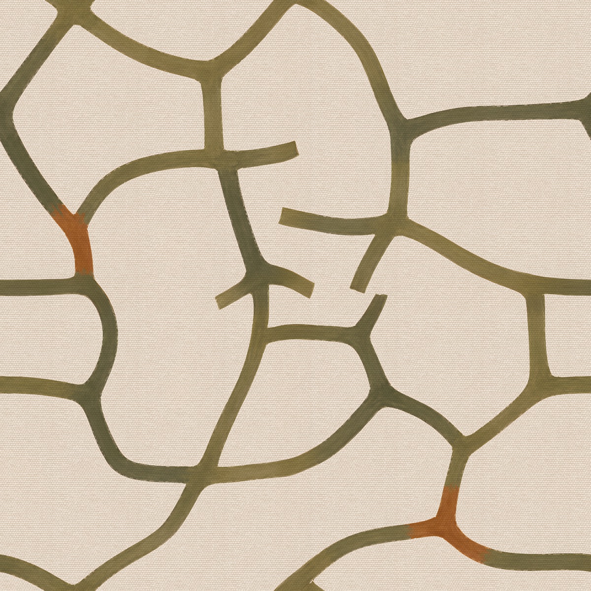 STEM — SILVA, coordinate