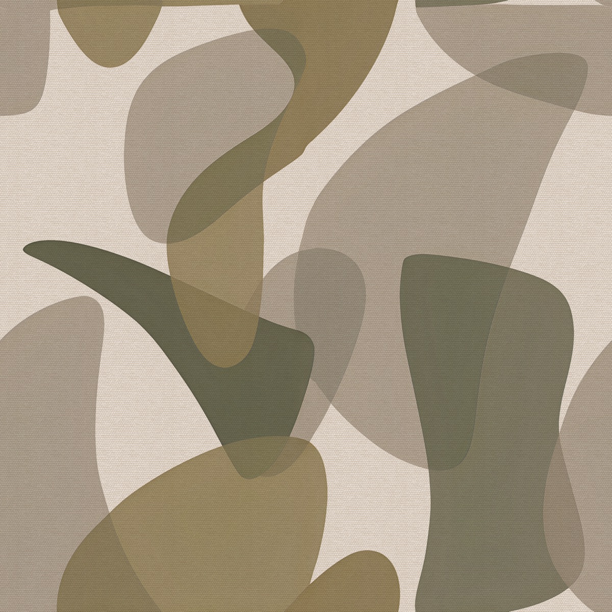 HERBARIUM SHADOW — SILVA, coordinate