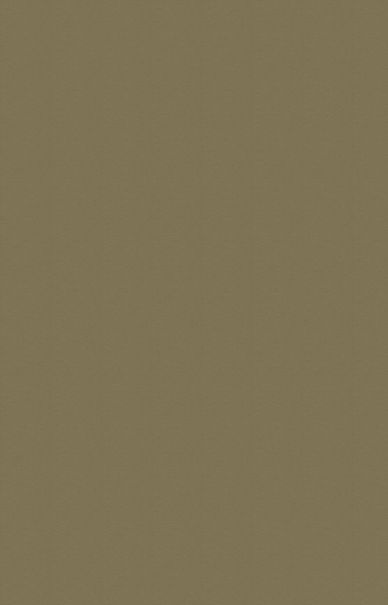 MOSS GRAIN — SILVA, texture / quiet surface