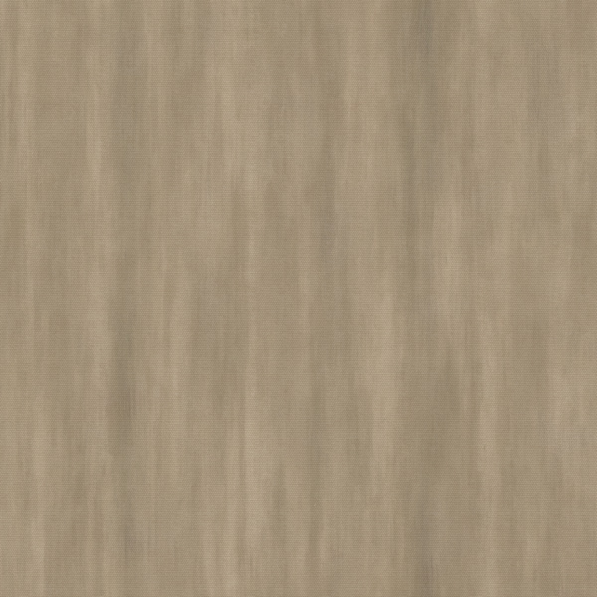 BARK VEIL — SILVA, texture / quiet surface