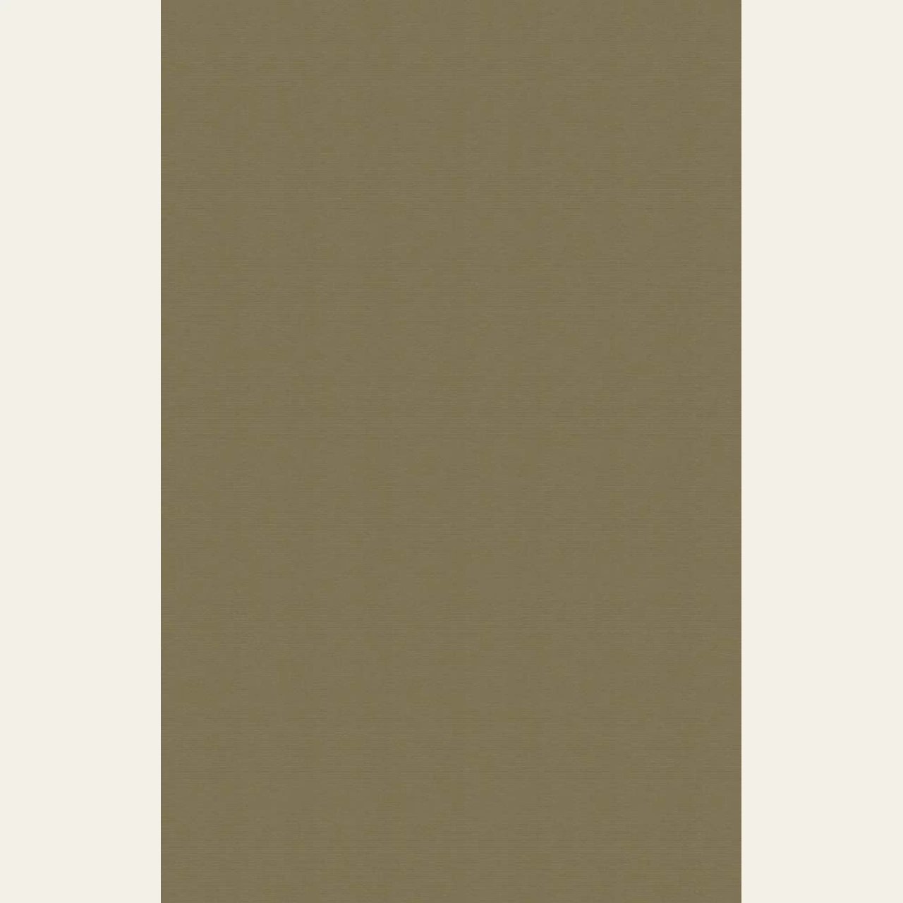 Full repeat of NM-SLV-T01, derived from the approved production artwork.
