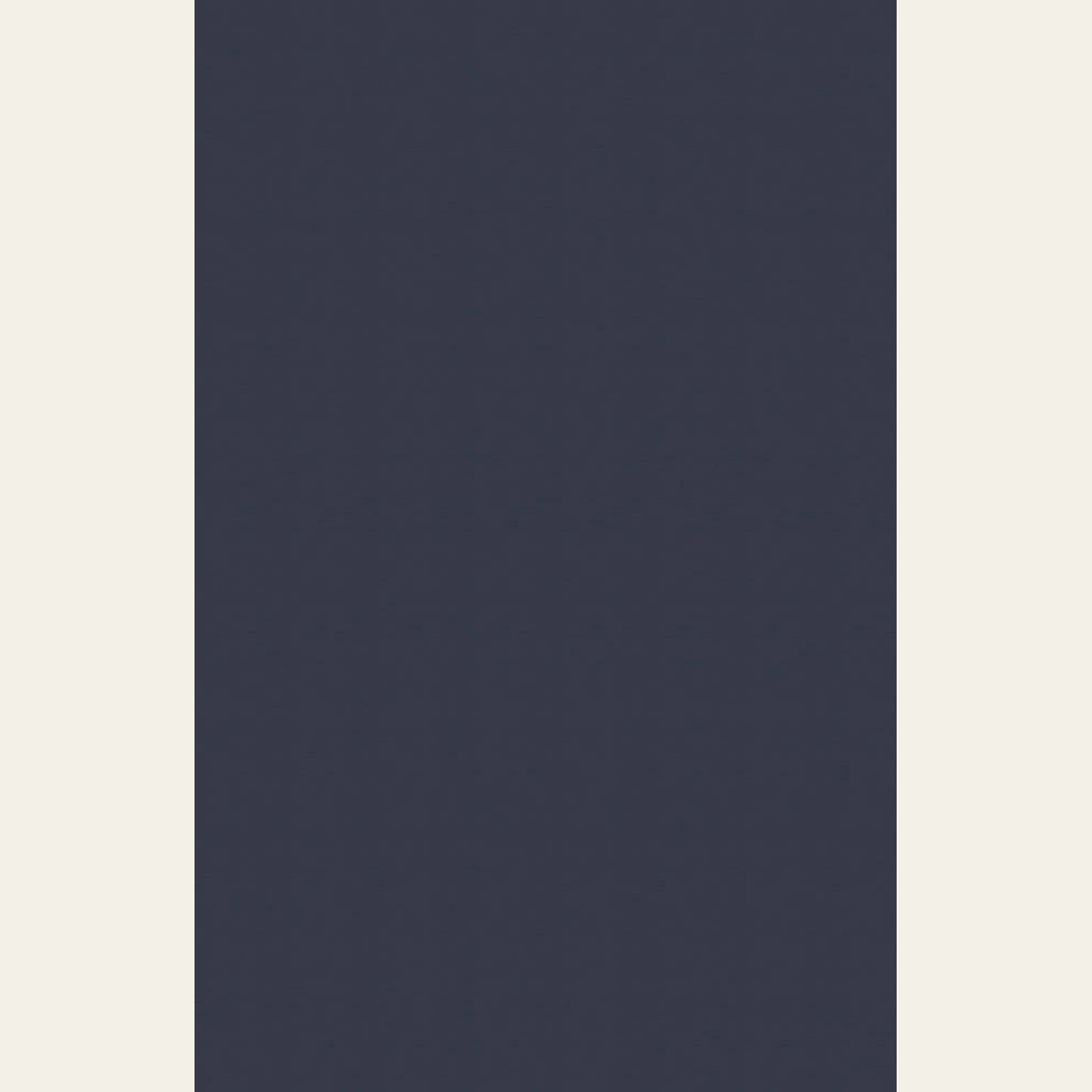 Full repeat of NM-VSP-T01, derived from the approved production artwork.